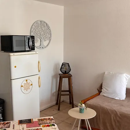 Familial Avec Grande Terrasse Piscine Parking Et Wifi Fibre Le Barcarès